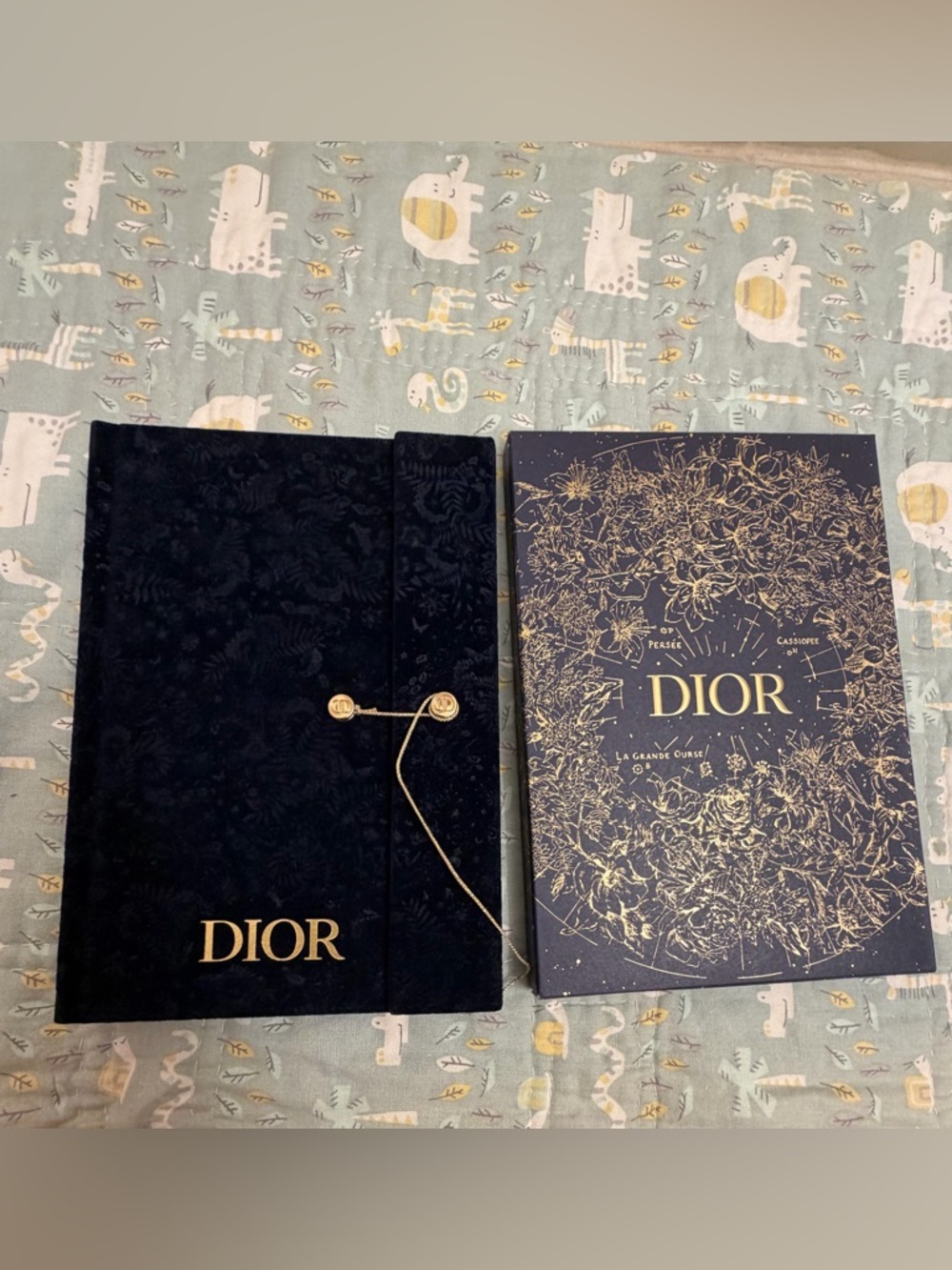 Dior Notebooks (PRICE FIRM)